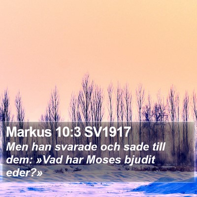 Markus 10:3 SV1917 Bible Verse Image