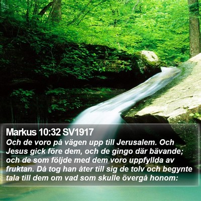 Markus 10:32 SV1917 Bible Verse Image
