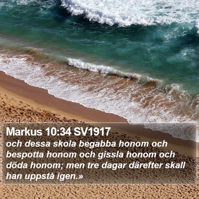 Markus 10:34 SV1917 Bible Verse Image