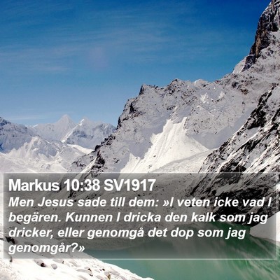 Markus 10:38 SV1917 Bible Verse Image
