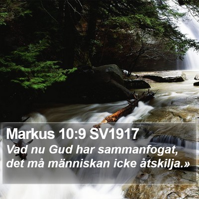 Markus 10:9 SV1917 Bible Verse Image