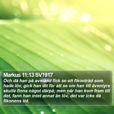 Markus 11:13 SV1917 Bible Verse Image
