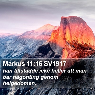 Markus 11:16 SV1917 Bible Verse Image