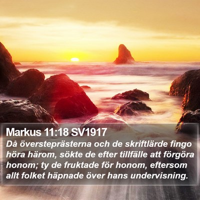 Markus 11:18 SV1917 Bible Verse Image