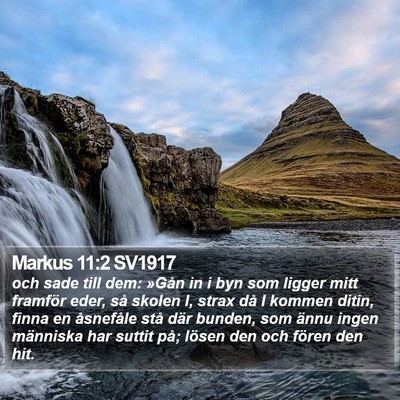 Markus 11:2 SV1917 Bible Verse Image