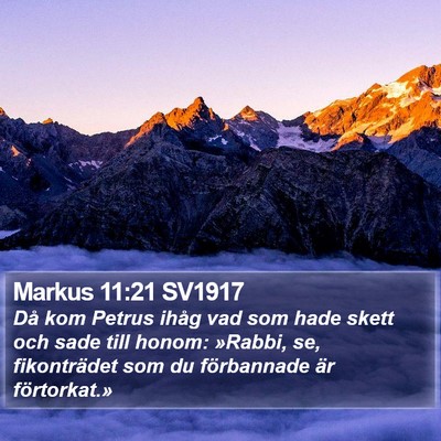 Markus 11:21 SV1917 Bible Verse Image