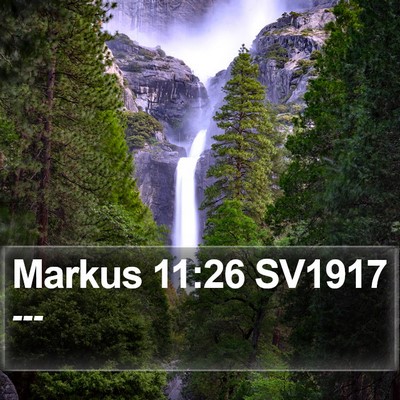 Markus 11:26 SV1917 Bible Verse Image