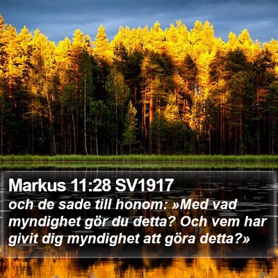 Markus 11:28 SV1917 Bible Verse Image