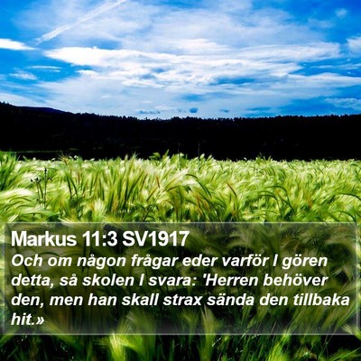 Markus 11:3 SV1917 Bible Verse Image