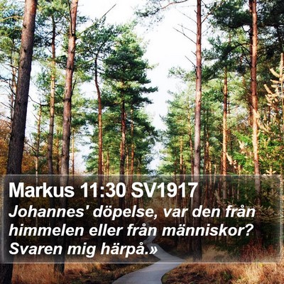 Markus 11:30 SV1917 Bible Verse Image