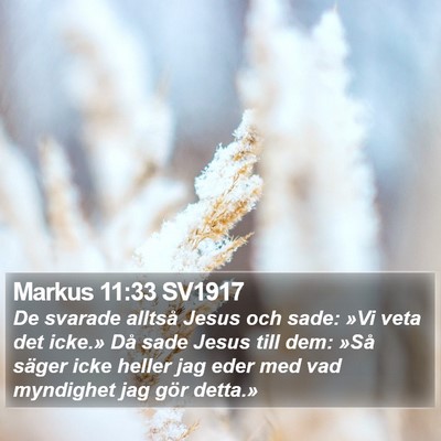 Markus 11:33 SV1917 Bible Verse Image