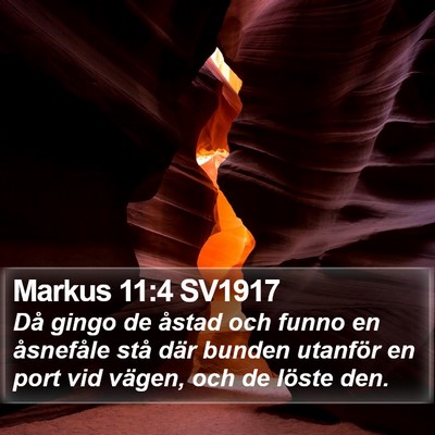 Markus 11:4 SV1917 Bible Verse Image