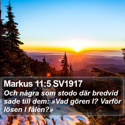 Markus 11:5 SV1917 Bible Verse Image