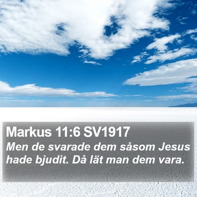 Markus 11:6 SV1917 Bible Verse Image