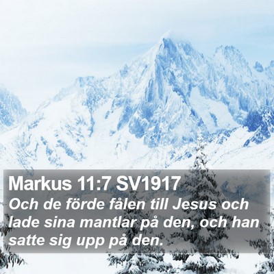 Markus 11:7 SV1917 Bible Verse Image