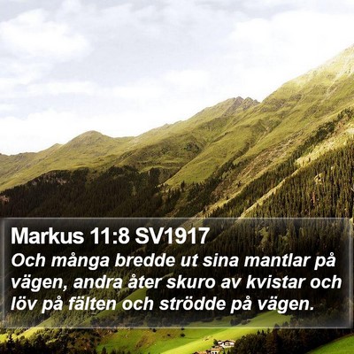 Markus 11:8 SV1917 Bible Verse Image