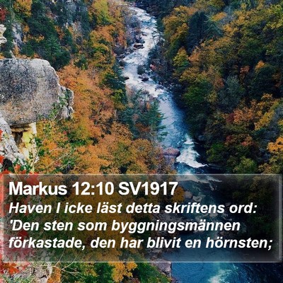 Markus 12:10 SV1917 Bible Verse Image