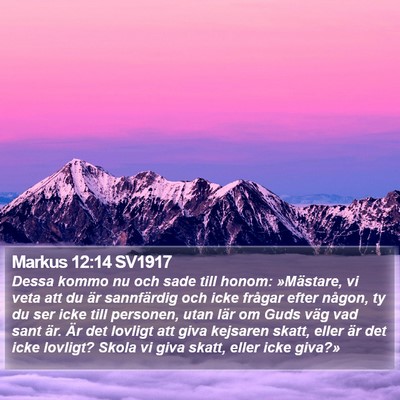 Markus 12:14 SV1917 Bible Verse Image