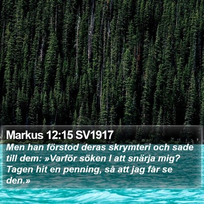 Markus 12:15 SV1917 Bible Verse Image