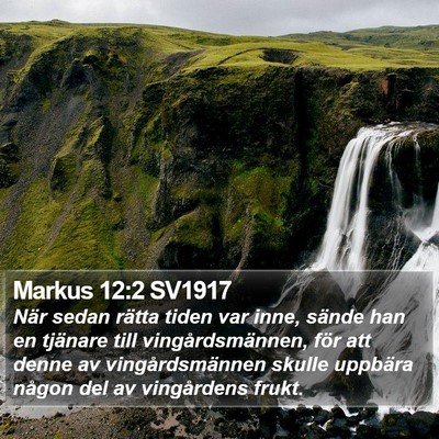 Markus 12:2 SV1917 Bible Verse Image