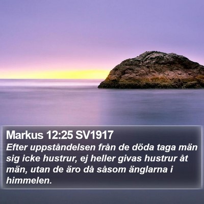 Markus 12:25 SV1917 Bible Verse Image
