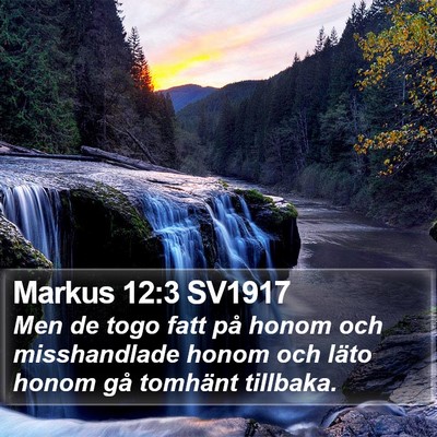 Markus 12:3 SV1917 Bible Verse Image