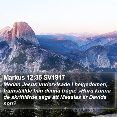 Markus 12:35 SV1917 Bible Verse Image