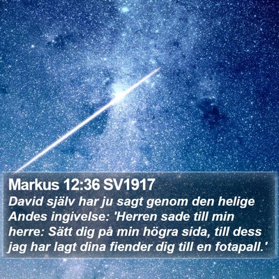 Markus 12:36 SV1917 Bible Verse Image