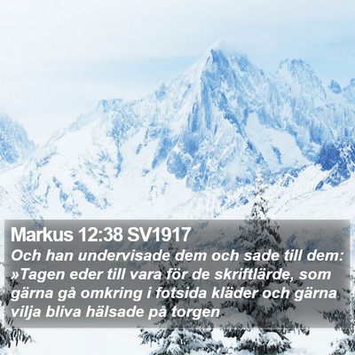 Markus 12:38 SV1917 Bible Verse Image