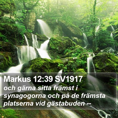 Markus 12:39 SV1917 Bible Verse Image