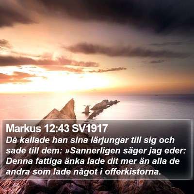 Markus 12:43 SV1917 Bible Verse Image