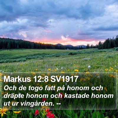 Markus 12:8 SV1917 Bible Verse Image