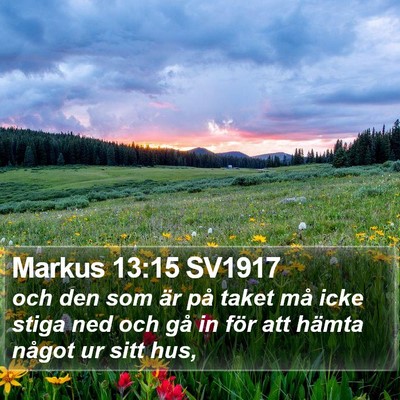 Markus 13:15 SV1917 Bible Verse Image