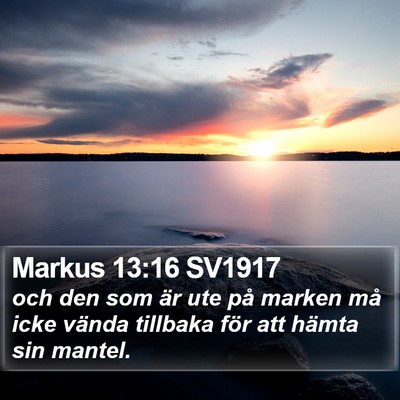 Markus 13:16 SV1917 Bible Verse Image