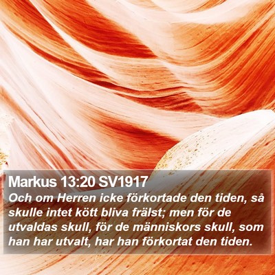 Markus 13:20 SV1917 Bible Verse Image