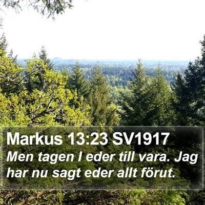 Markus 13:23 SV1917 Bible Verse Image