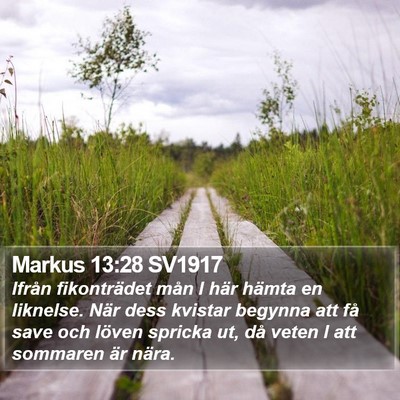 Markus 13:28 SV1917 Bible Verse Image