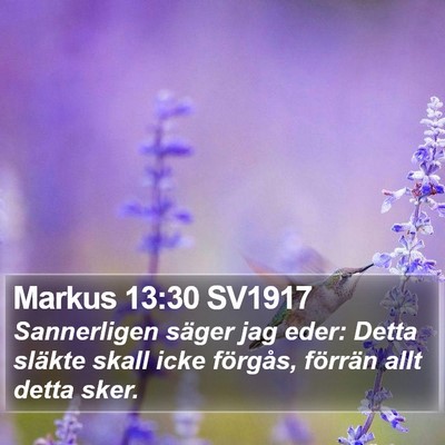 Markus 13:30 SV1917 Bible Verse Image