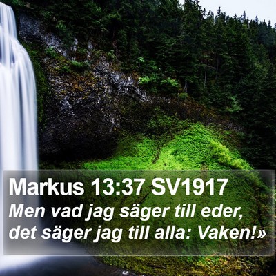 Markus 13:37 SV1917 Bible Verse Image