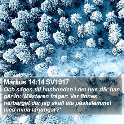 Markus 14:14 SV1917 Bible Verse Image