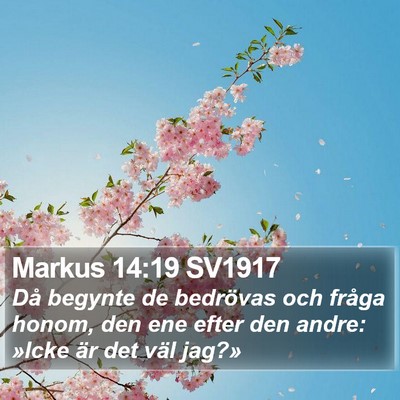 Markus 14:19 SV1917 Bible Verse Image
