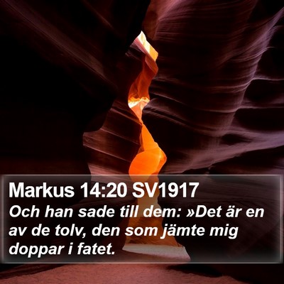 Markus 14:20 SV1917 Bible Verse Image