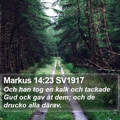 Markus 14:23 SV1917 Bible Verse Image