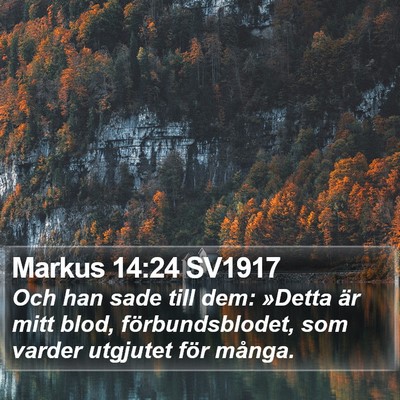Markus 14:24 SV1917 Bible Verse Image