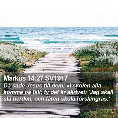 Markus 14:27 SV1917 Bible Verse Image