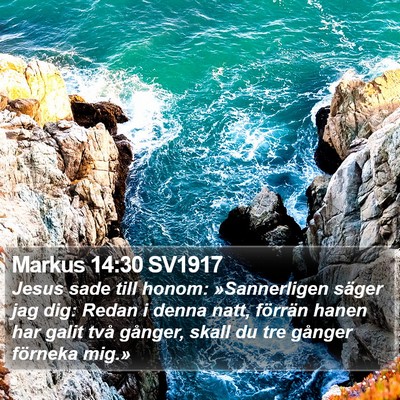 Markus 14:30 SV1917 Bible Verse Image