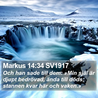 Markus 14:34 SV1917 Bible Verse Image