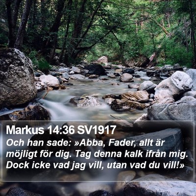 Markus 14:36 SV1917 Bible Verse Image