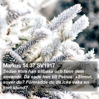 Markus 14:37 SV1917 Bible Verse Image