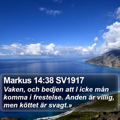 Markus 14:38 SV1917 Bible Verse Image